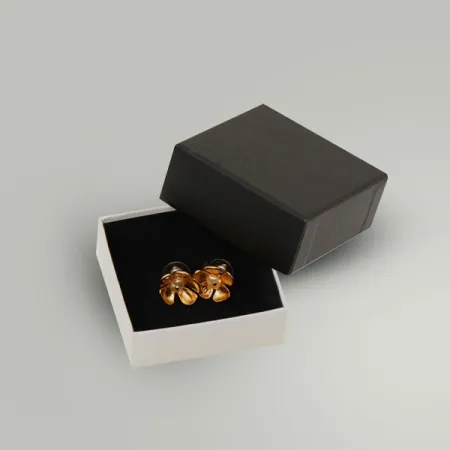 Earring Boxes, example 3