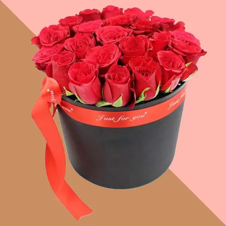 Flower Boxes